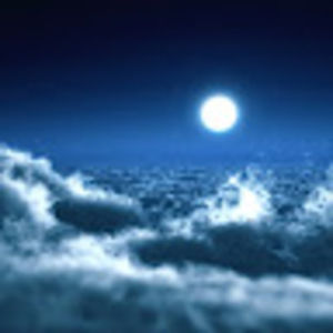 Meet your Posher, Rosalyn